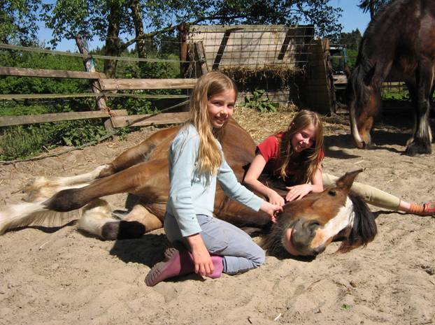 Wiske: totaal vertrouwen